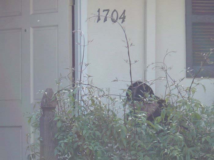 2003-02-18Zc